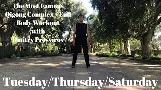 Sample of Online Bodyweight Workout (The Most Famous Qigong Complex + Full Body Workout) #66