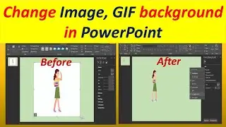 How to change the Image background in PowerPoint 