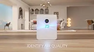 Coway AP-1512HH Mighty Air Purifier Global Discount Network