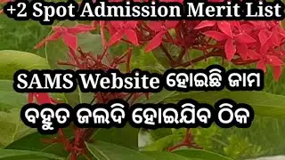 plus two spot admission merit list 2021