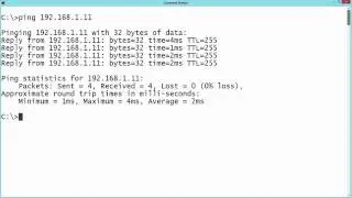 72 Checking for Connectivity with Ping