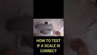 HOW TO CHECK IF YOUR SCALE IS ACCURATE
