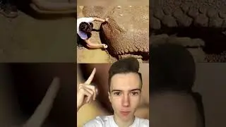 Фермер сделал шокирующее открытие ч.2 #shorts