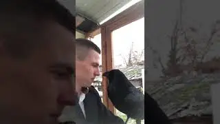 Перед уходом на работу😁
