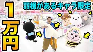 クレーンゲーム１万円で羽根のあるキャラだけ限界取りしたら一体何個取ることが出来るのか?!