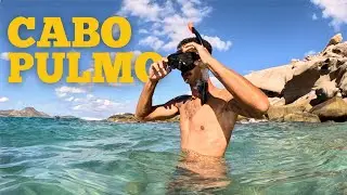 Exploring the NATURAL WONDERS of CABO PULMO National Park
