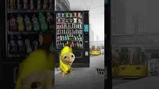 359757252 228414910103008 2869349998959578286 n  #shortvideo #shortsfeed #shorts