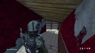 Dayz Duo