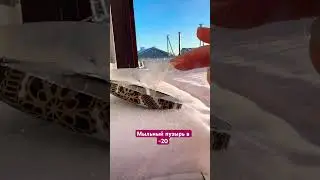 Давно хотела это сделать