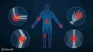 Reducing Discomfort from Inflammation |‌‌ NeuroQ