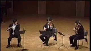 M.Reger : Serenade for Flute, Violin and Viola, Op.141a (3)   (Kazumi Sato)