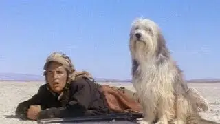 A Boy and His Dog (1975)