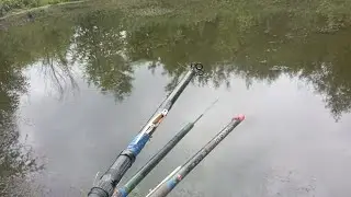 Пашка мішає ловити рибу.