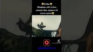 лисиц сосна