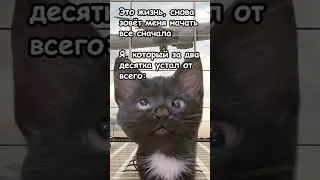 Ну скока можна?