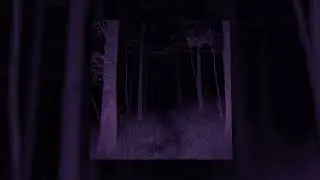 Vandalism - bleach (Slowed + Reverb) [1 Hour Loop]
