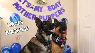 Maui Turns 2! My Dog’s Birthday Party