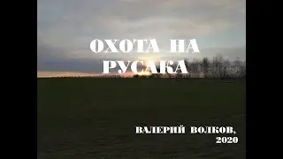 Волков В. Охота на русака (2020)