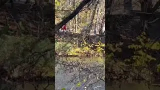 УМАНЬ. УКРАИНА