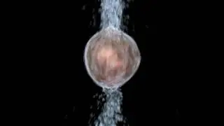 Maya Soft Bodies