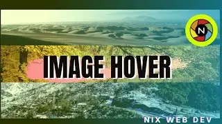 || IMAGES HOVER EFFECT || CLIP-PATH || ONLY CSS ||