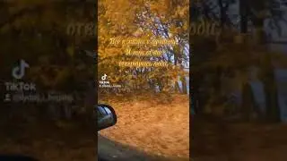 цитаты про жизнь. красивое видео для сторис в инстаграм