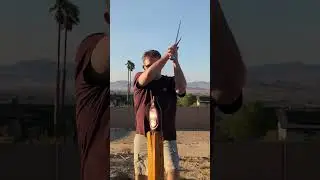Backyard cutting with a $205 Fidestisan longsword - available on Amazon