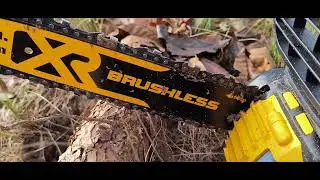 DeWalt 12in electric XR 20v chainsaw !  Why use electric ? It's great, that's why.