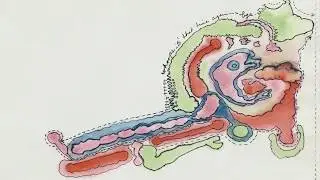 Ida Applebroog   Mercy Hospital Exhibition trailer