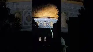 Palestin🤲🏼🇵🇸