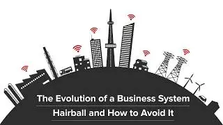 How to Avoid a Business System Hairball