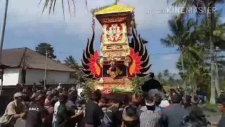 Upacara Ngaben di Bangli Br Nyanglan Kaja Tembuku Desa adat Bang bang Yang Unik Dan Sakral❗️❗️❗️