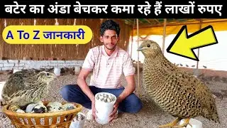 Good profit in less time in quail farming | Quail Farming | Bater Palan | Bater Farming In India ||