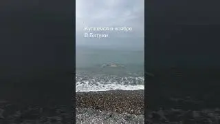 Ноябрь в Батуми 2022 . Море Батуми +18 Погода в Батуми 