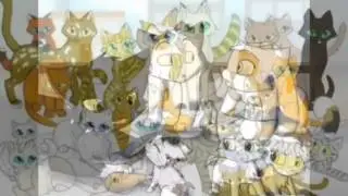 Факты о котах воителях