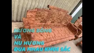 SỐT! PHÁT HIỆN BỘ GHẾ NU HƯƠNG 8 MÓN MÀ ĐẠI GIA ĐANG SĂN LÙNG