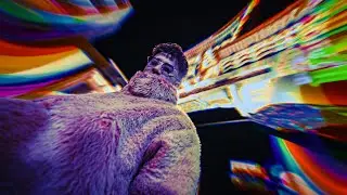 邦KUNI & ジェロニモ R.E - " SORR¥ GANG SHIT " (Official Music Video)