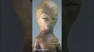 Frogman
