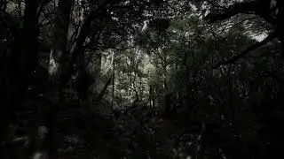 slenderman