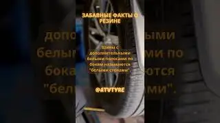 Забавные факты о резине - факт 30 #shortvideo