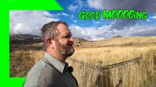 Bonus ❖ Good MOOOOO ing ❖ Super B Trucking Life 🇨🇦