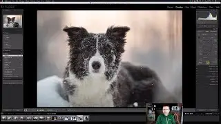 Lesson 2 - How to have success in Lightroom with the BASIC menu