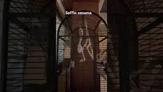 Soffin parapa mnace