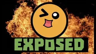 AKIDO EXPOSED - Die ganze Wahrheit (?) (Dein Wunschvideo Special)