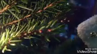 Finalmente è Natale 😍