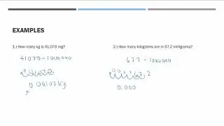 Metric Conversions: Converting milligrams (mg) to kilograms (kg)
