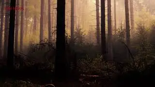 What secrets does this Devils Ravine hide?