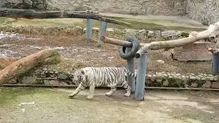Зоопарк в Ташкенте