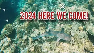 2024 HERE WE COME BEST COMPILATION