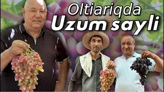 Oltiariqda Uzum sayli. 10 gektarli Bogʻda 10 dan ortiq Uzum navlari. Koʻchat va qalamchalar mavjud.